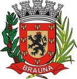sp-brauna-brasao